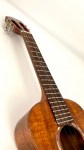 AKK3_9