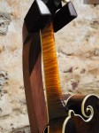 Duff H5 Mandola