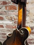 Duff H5 Mandola