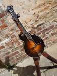 Duff H5 Mandola