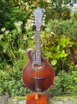 Eastman MD 314 F Mandoline - ovales Schalloch