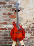 Eastman_MDA815_used_9