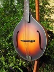 Eastman_MDO305ESB_11