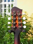 Eastman_MDO305ESB_6