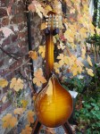 Eastman_MDO605Oktav_12