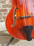 Eastman_Mandocello_10