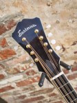 Eastman_Mandocello_83