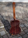 Picado Modell Concierto mit Fichte/Cocobolo