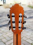 Picado Modell Concierto mit Fichte/Cocobolo