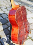 Picado Modell Concierto mit Fichte/Cocobolo