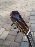 Picado Modell Concierto mit Fichte/Cocobolo