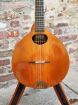 Sobell_10StringCittern_13