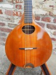 Sobell_10StringCittern_2