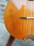 Sobell_10StringCittern_3