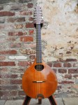 Sobell_10StringCittern_7