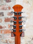 Sobell_10StringCittern_8