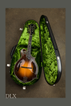 Tura+DLX+10-1