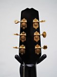 Weber_Archtop_11
