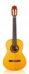 cadete-front