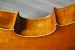 cao-cello-back5