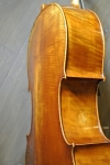 cao-cello-back7