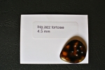 mp_bigjazz_tortoise