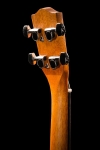 ohana_ukuleles_solid_top_mahogany_cut_away_tenor_eq_headstock_back_tk-20ce