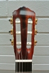 pozzi_front5