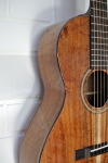thompson_012_3